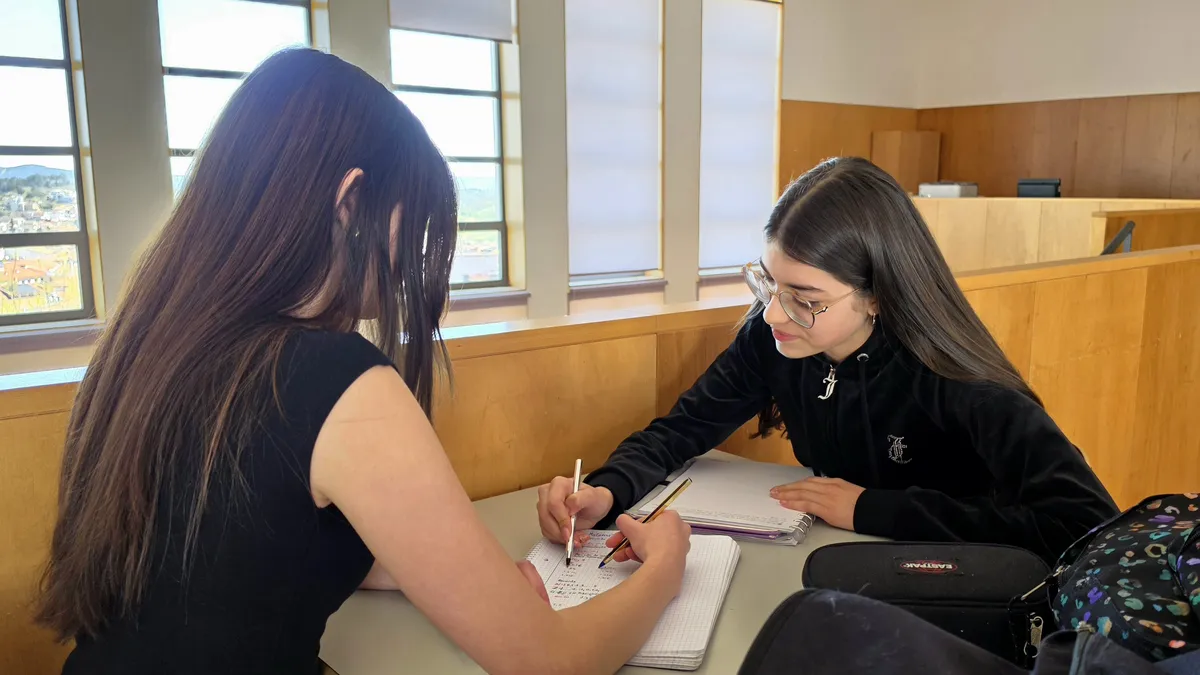 Modelos Educação Inclusiva